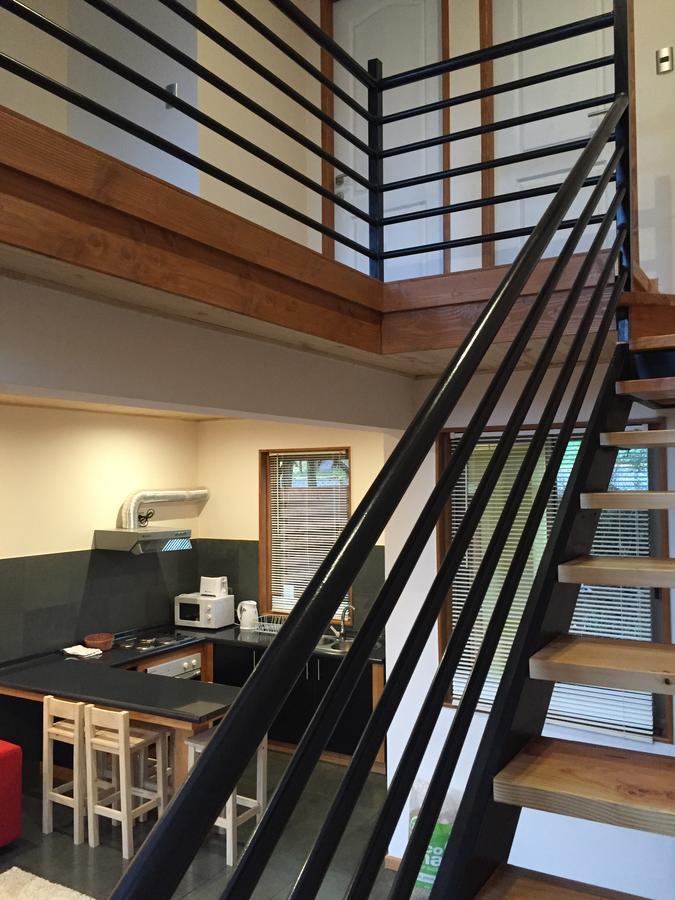 Loft Puconアパートホテル エクステリア 写真